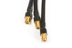 AX31092 | Axial 2200Kv Vanguard XL Brushless Motor 7 AX31092 | Axial 2200Kv Vanguard XL Brushless Motor -Deals Axial Store AXI AX31092 4 1200x800 1